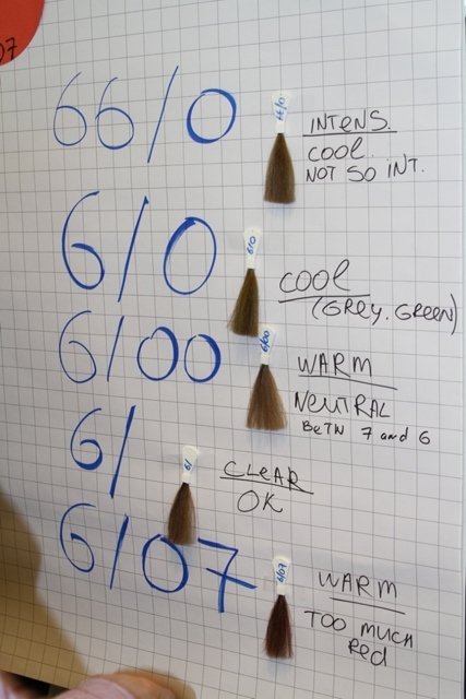 29936f020525.jpg