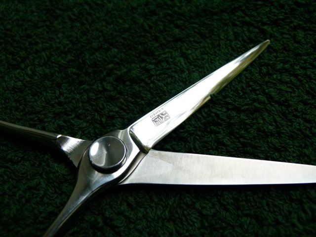 949047c14eae.jpg