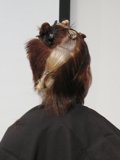 9acfec8968b5.jpg
