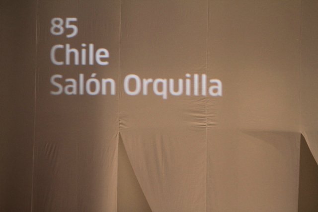 c99dfa091ff9.jpg