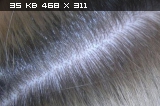 f779f278eaa2b5ea70f4ed803924194d.jpg
