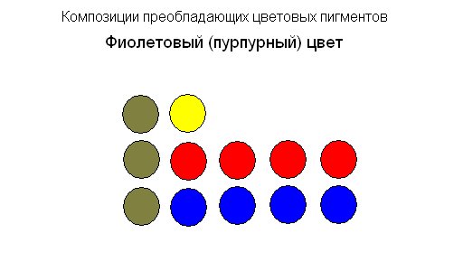 fc3da47afe64.jpg