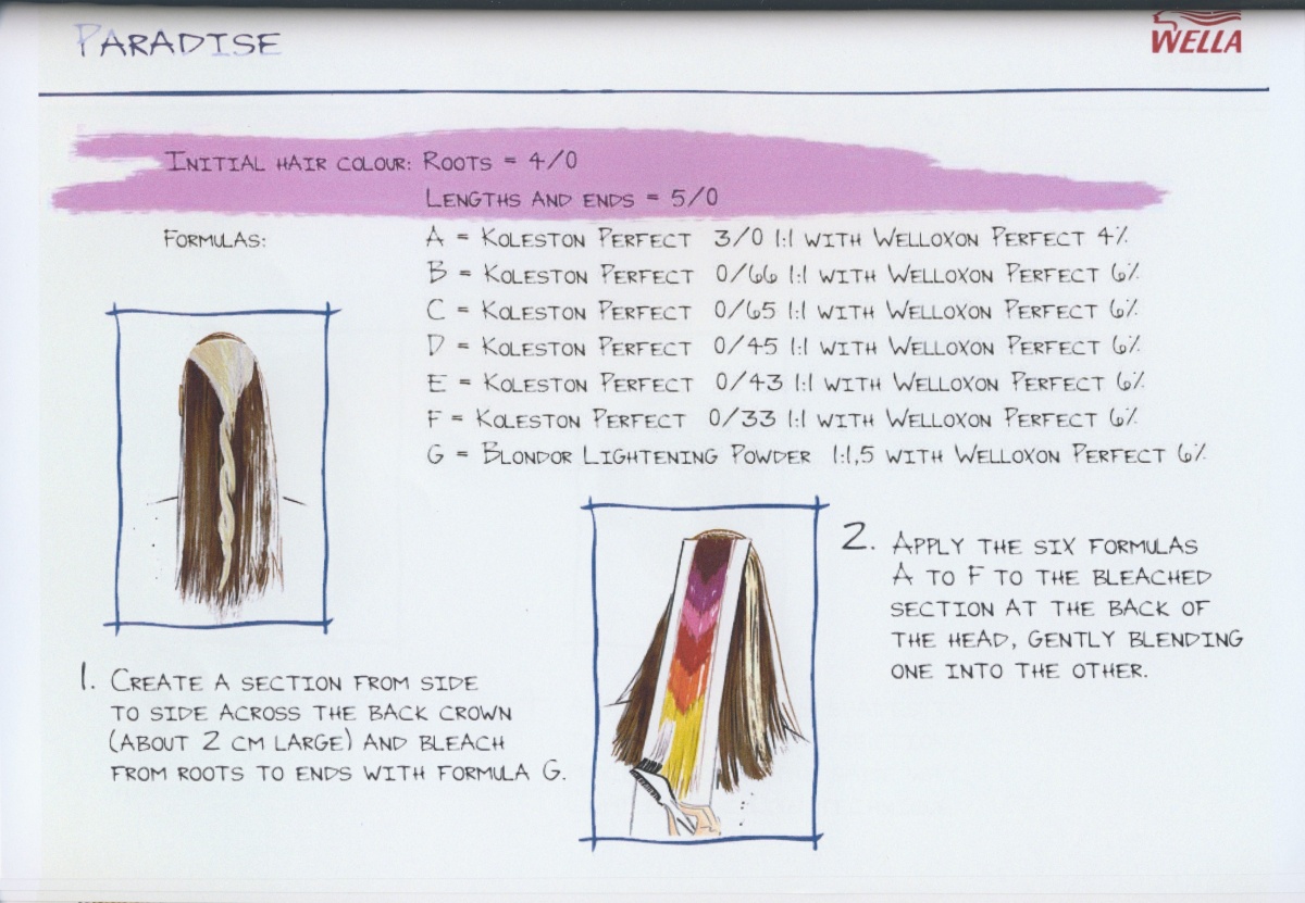 Как правильно покрасить длинные волосы схема