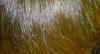 post-8713-1264892674_thumb.jpg