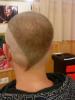 post-43367-1295593047_thumb.jpg