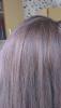 post-120970-1359713141_thumb.jpg