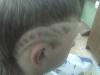 post-16984-1359967719_thumb.jpg