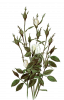 post-16064-1236451694_thumb.png