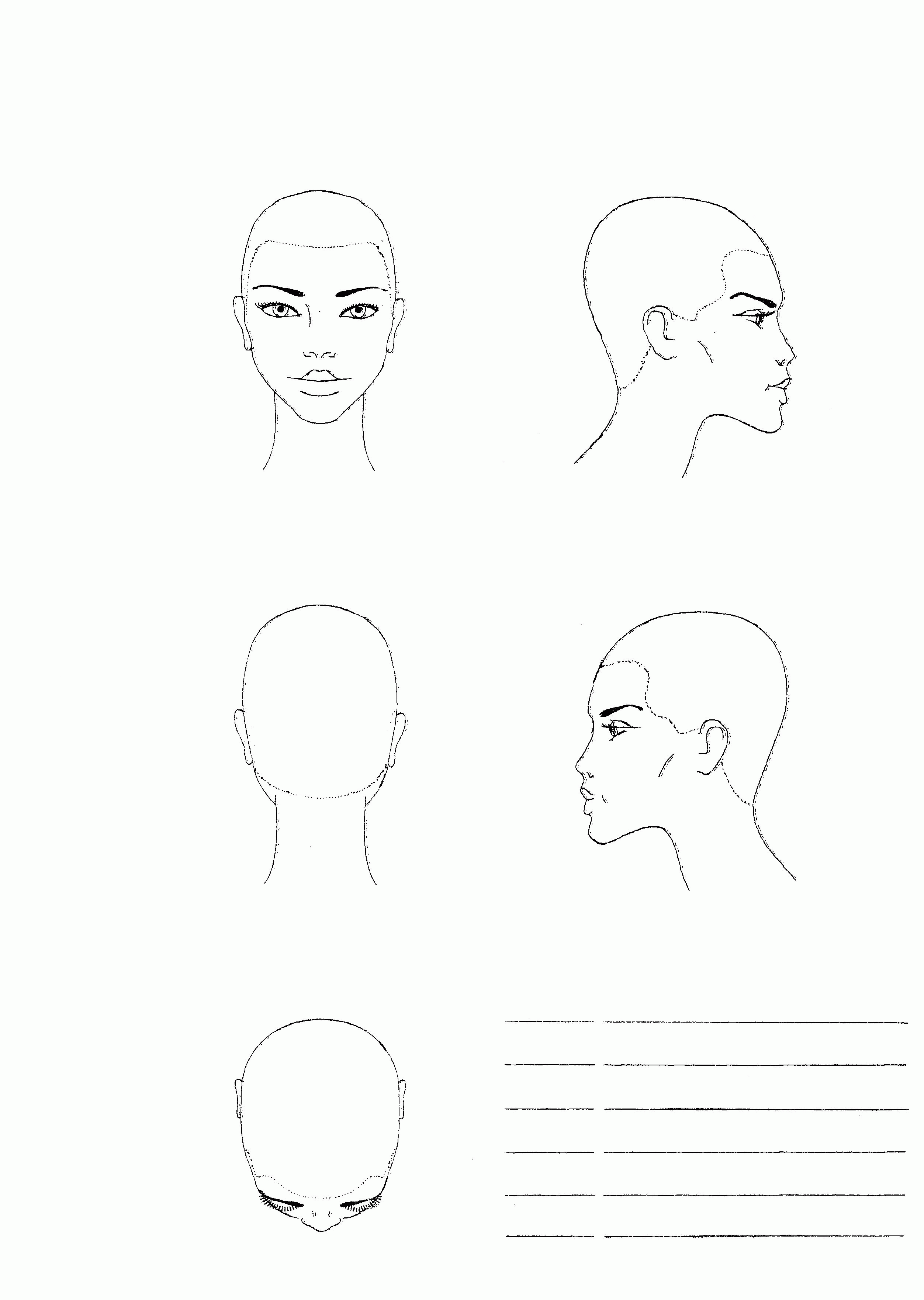 Эскизы лица для стрижки