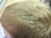 post-23342-1282050724_thumb.jpg