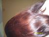 post-114262-1347763945_thumb.jpg