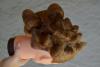 post-86337-1351014267_thumb.jpg