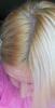 post-117484-1352713237_thumb.jpg