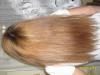post-119760-1356797062_thumb.jpg