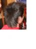 post-131-1179773901_thumb.jpg